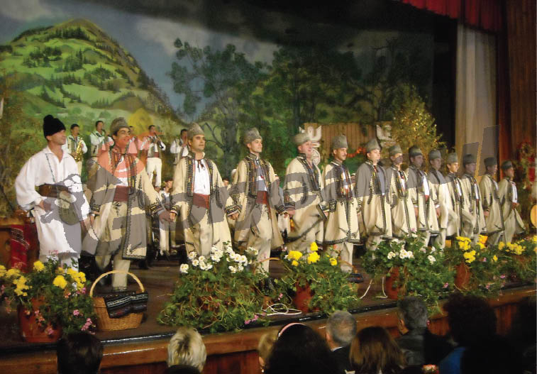 10 perechi de dansatori juniori pentru Doina Gorjului