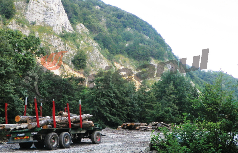 Bilanţ pe 2014! – Garda de Mediu a aplicat amenzi de 1,6 milioane lei