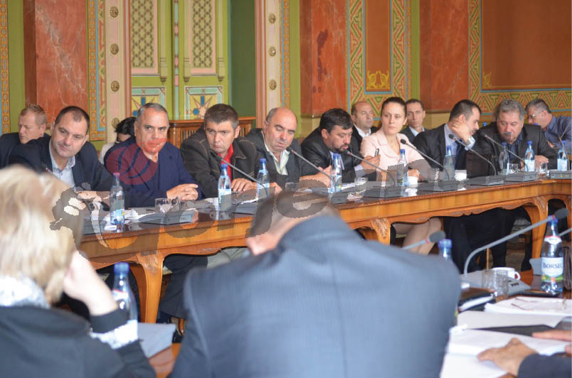 Mai mulţi bani de la CJ pentru „Inimi de Gorjeni”