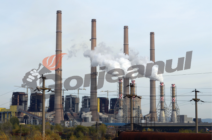 Doi angajaţi ai CEO au murit în 12 ore