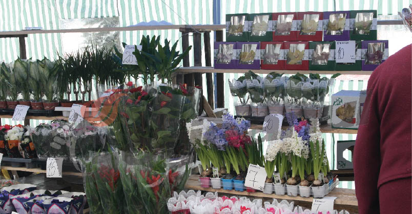 Program special pentru târgujience de 1 şi 8 Martie