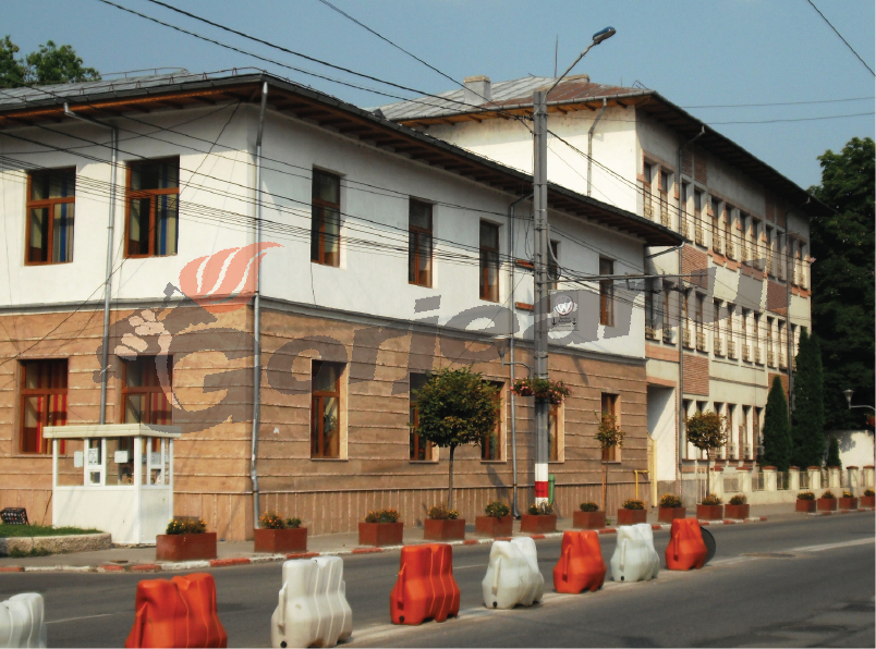 Ziua Porţilor Deschise la Şcoala „Constantin Săvoiu”