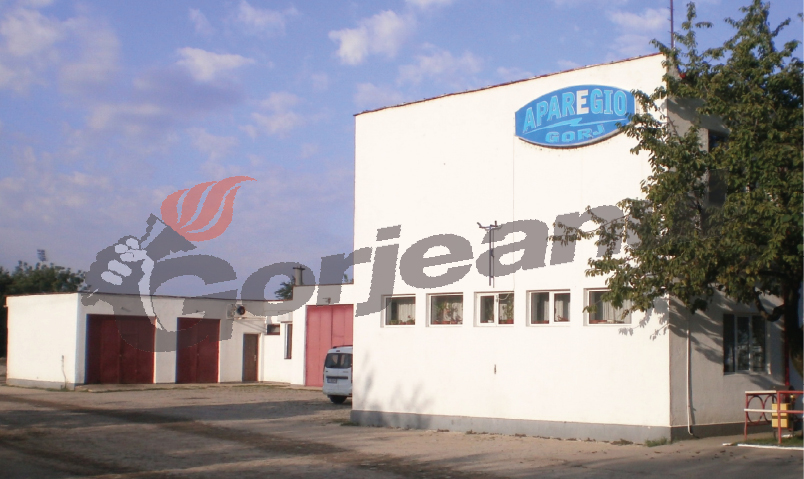 Gura târgului – Pătrăşcoiu vrea purtătoare de cuvânt