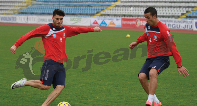 Debut cu probleme pentru panduri