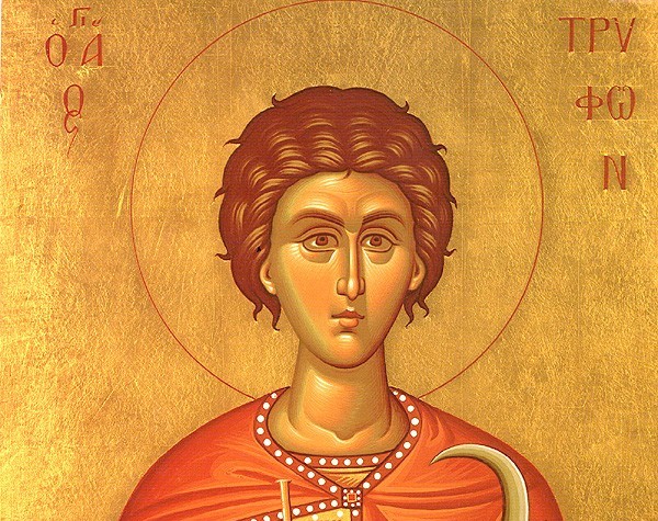 Păstrarea tradiţiilor – Sfântul Trifon, sărbătorit pe dealurile viilor din Frânceşti şi Văianu