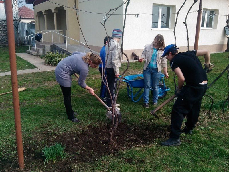 Curăţenie de primăvară, la casele de tip familial Scoarţa şi Răchiţi