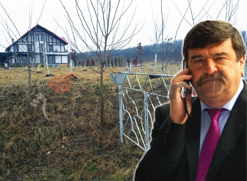 Făcături în dosarul Greblă?! 50 de capre, “vândute” ca pe nişte limuzine printr-un avocat din Prahova