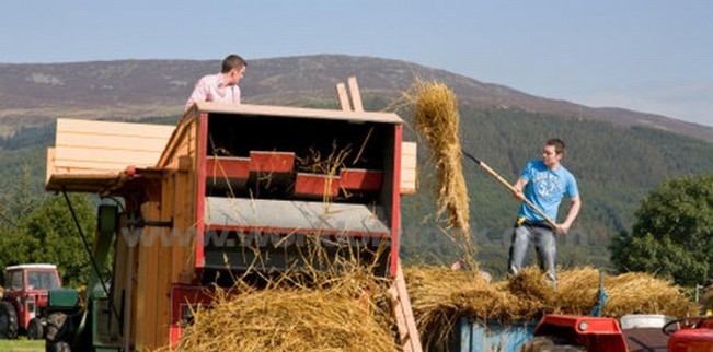 Fonduri europene pentru tinerii fermieri din Gorj