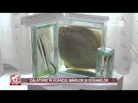 CĂLĂTORIE ÎN ADÂNCUL MĂRILOR ȘI OCEANELOR