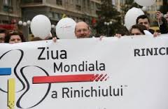 12 martie – Ziua Mondială a Rinichiului