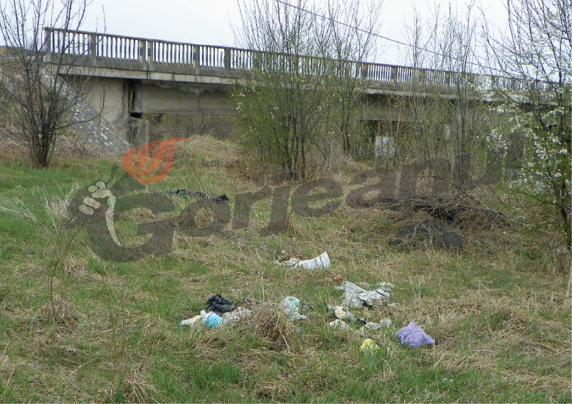 Educaţie prin media