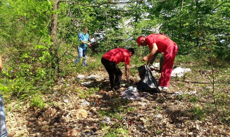 Acţiune de ecologizare a social-democraţior la Roşia de Amaradia