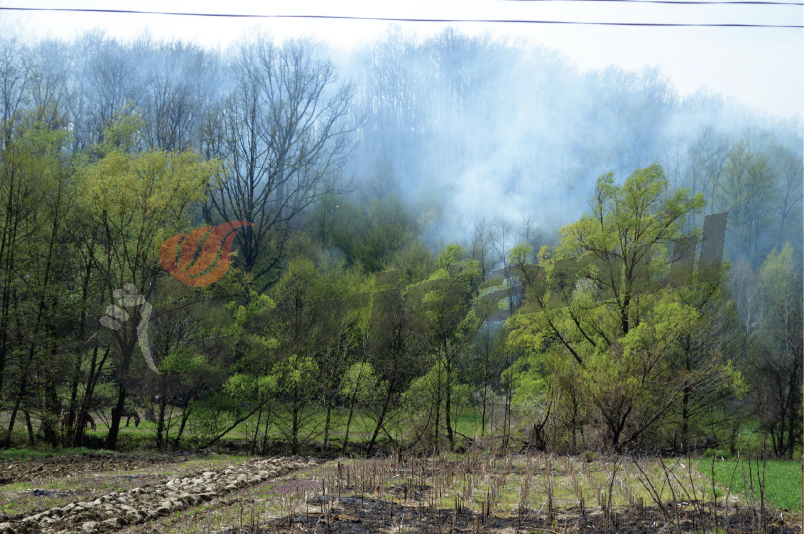 Incendii de pădure, la Hurezani şi Licurici