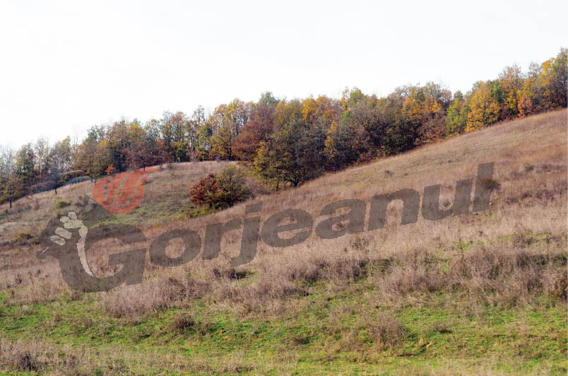 Taxele de păşunat, egale cu cele de anul trecut