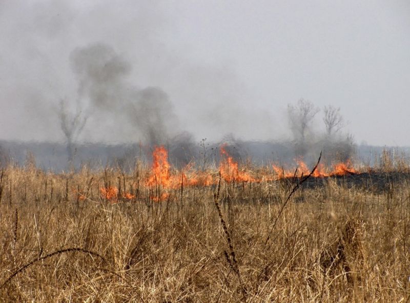 30 de agricultori, afectaţi de incendierea terenurilor cultivabile
