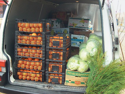 Peste 800 de kilograme de fructe, confiscate de poliţişti