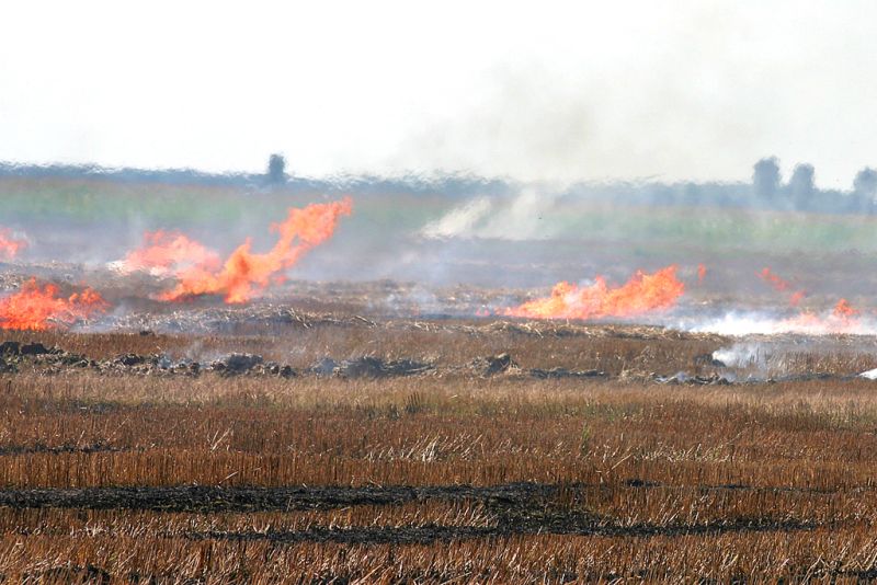 Cercetat pentru distrugere