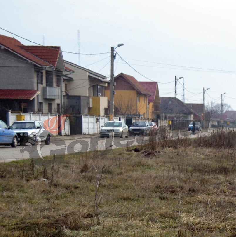 Branşamente ilegale, căutate de poliţişti şi la bogătaşii din Primăverii