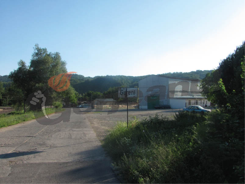 Gura târgului – Infracţiune oprită în colonia ACH Gureni