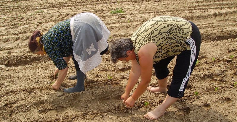 Clauză de revizuire pentru fermierii gorjeni