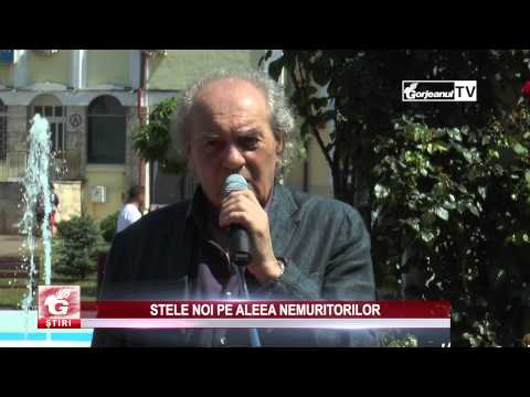 STELE NOI PE ALEEA NEMURITORILOR