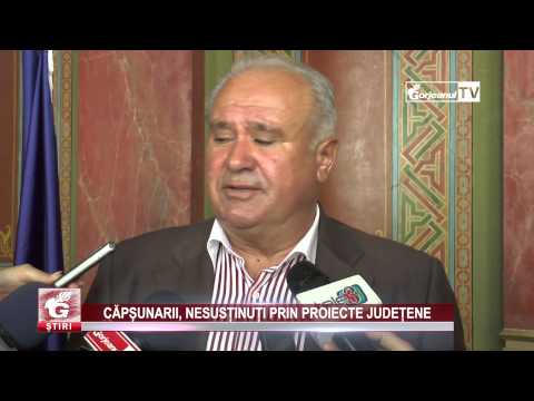 CĂPȘUNARII, NESUSȚINUȚI PRIN PROIECTE JUDEȚENE