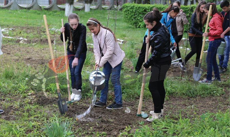 CJ Gorj a efectuat plantări de meri la 21 de şcoli din judeţ