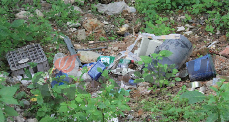 “Bistriţă cu apă lină”