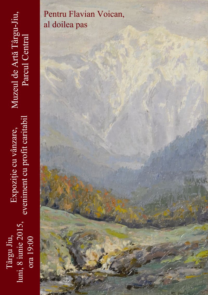 Expoziţie de artă, cu vânzare, pentru Flavian