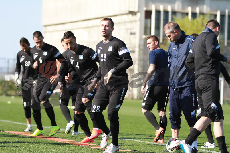 Panduri dezrădăcinați