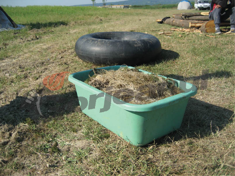 Zeci de sancţiuni pentru pescuit ilegal