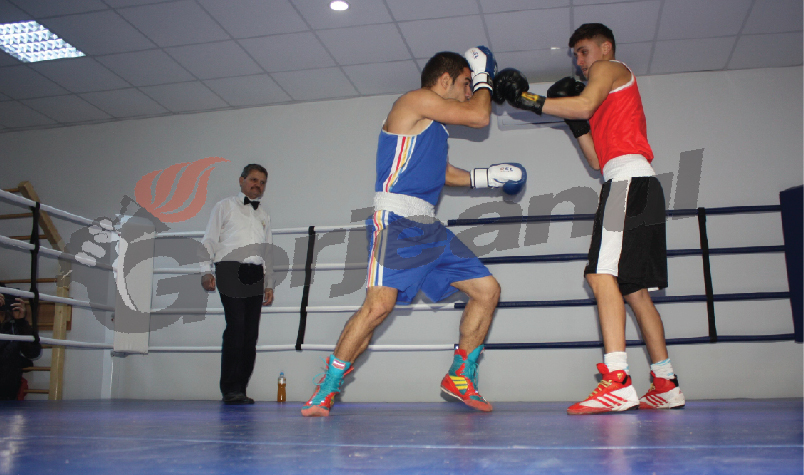 Salbă de medalii la Cupa României