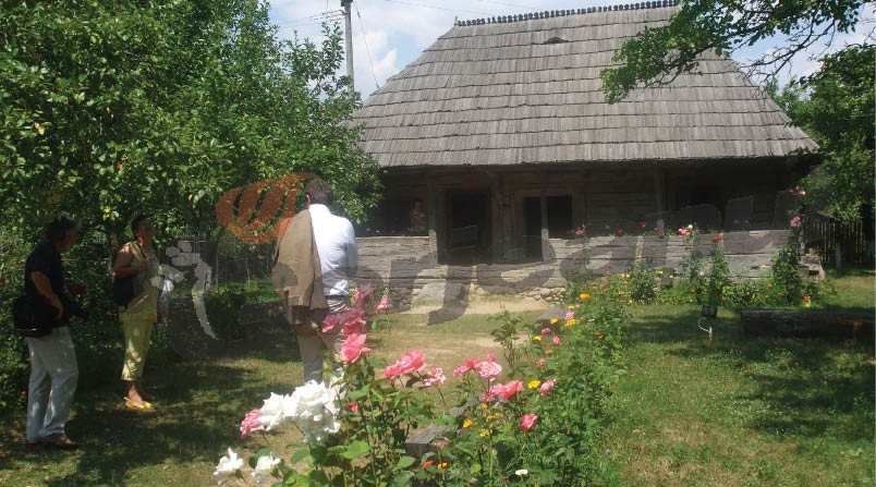 IN MEMORIAM – A plecat puţin dintre noi Prof. Ion – Nelă Blendea brâncuşiologul