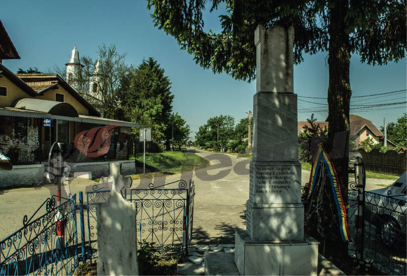 ANCERM Gorj, Pe urmele eroilor, la Dăneşti