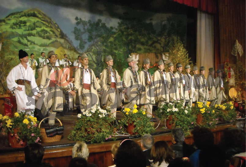 Şef de atelier pentru Ansamblul “Doina Gorjului”