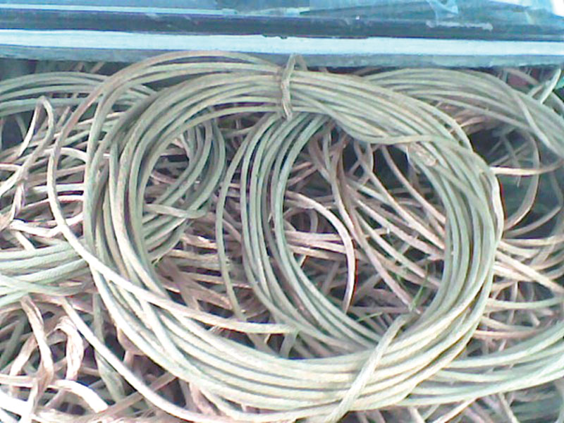 Prinşi la furat pe Defileul Jiului