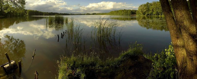 Start la o nouă campanie de verificare a iazurilor piscicole