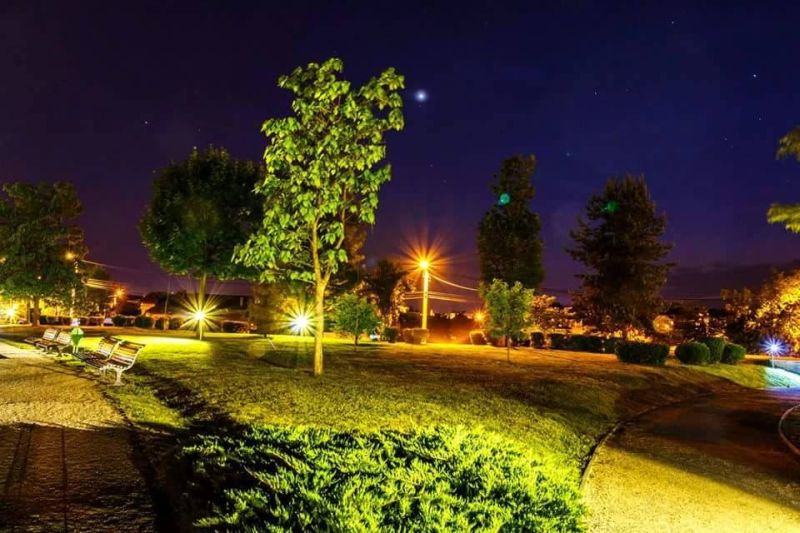 Poliţiştii locali, cu ochii pe spaţiile verzi din Târgu-Jiu