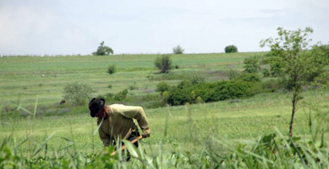 Atenţie gorjeni! Cererile unice de plată, pe ultima sută de metri