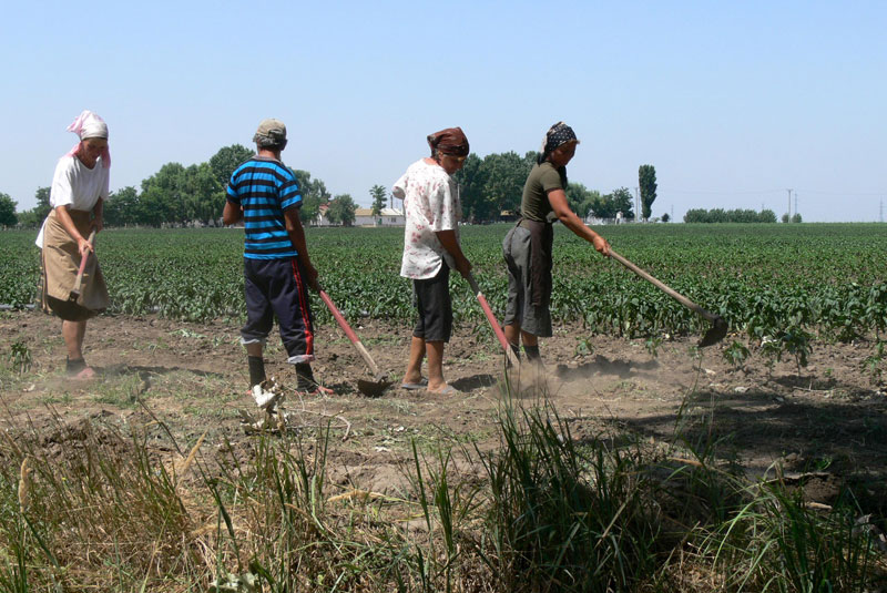 Mai mulţi bani pentru zilierii din judeţ