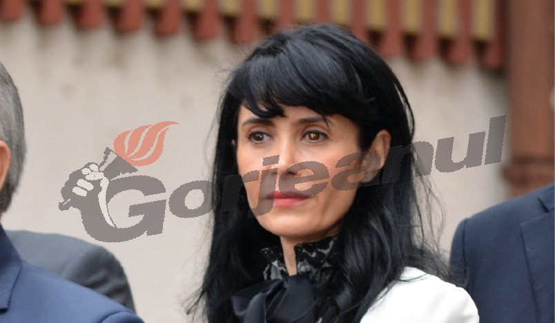 Iulia Vână rămâne simplu consilier municipal