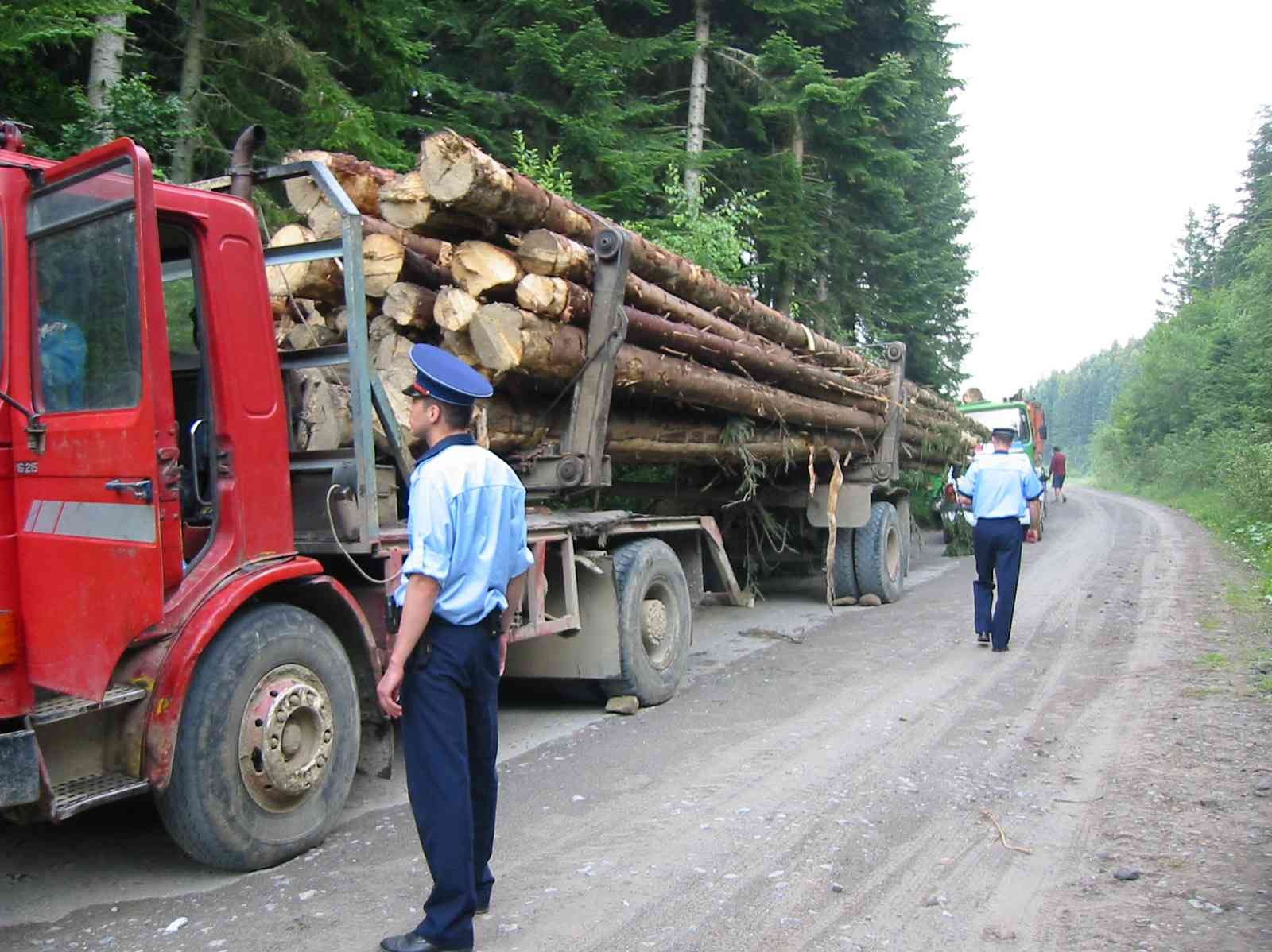 Transporturile de material lemnos, verificate de jandarmi