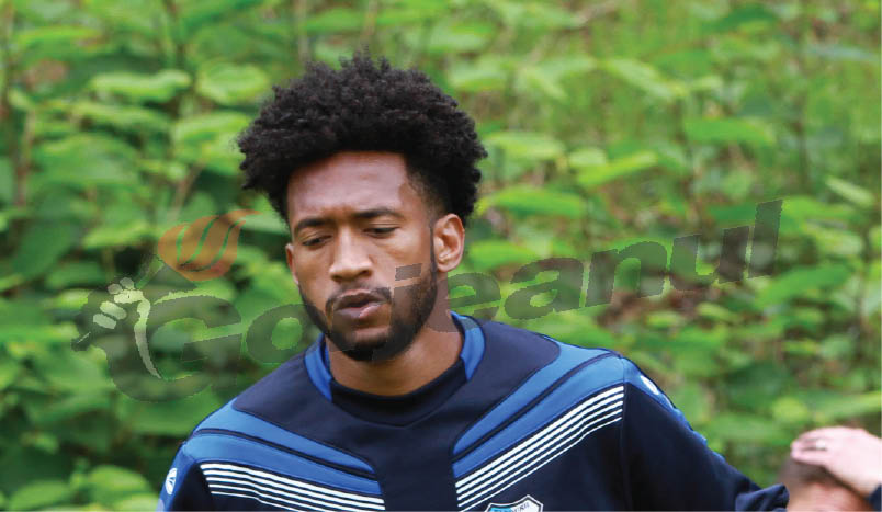 Wellington, păsuit în continuare