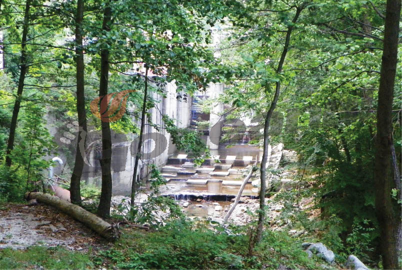 În „Cercul de foc al caniculei” pe Valea Şuşiţei Verzi