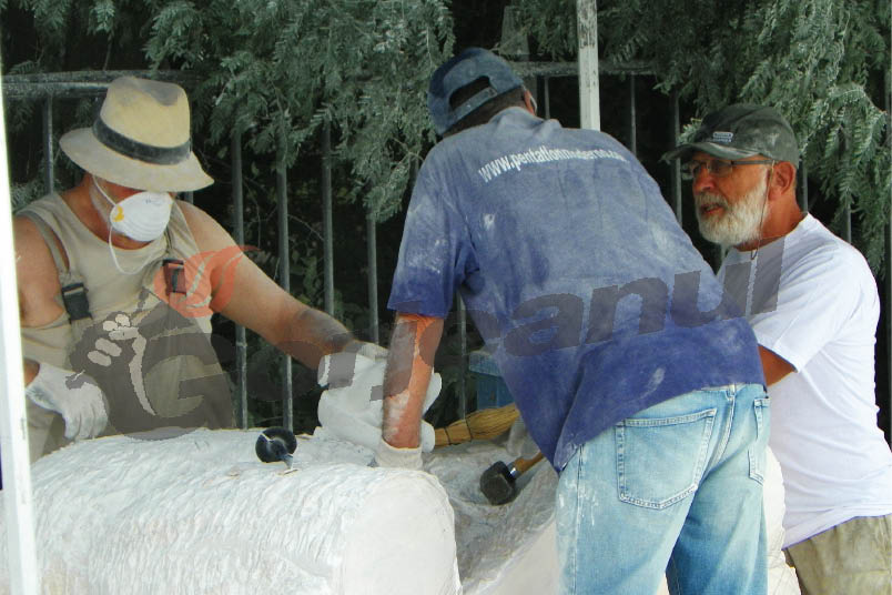 Brâncuşiana 2015 a ajuns la final