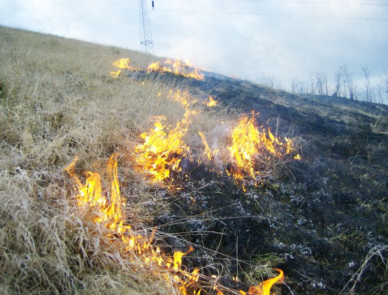 Măsuri de prevenire a incendiilor în perioada caniculară