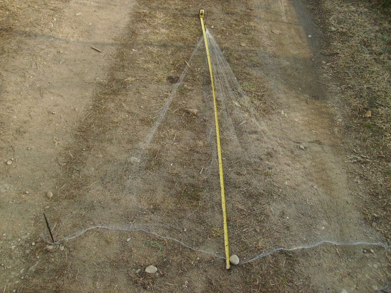 Secretarul AJVPS Cărbuneşti, de mână cu braconierii