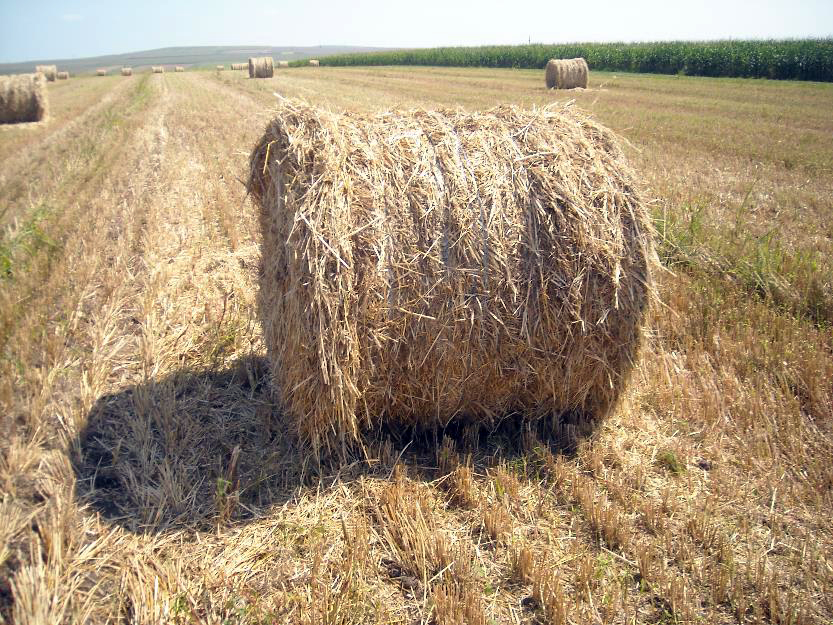 Minor accidentat la balotat paie