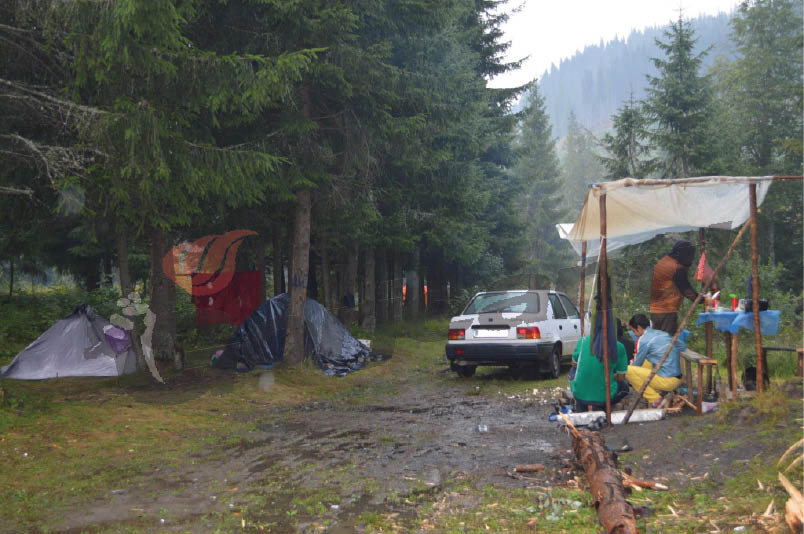 Ciupercarii din Gorj rad mânătărcile de la Obârşia Lotrului