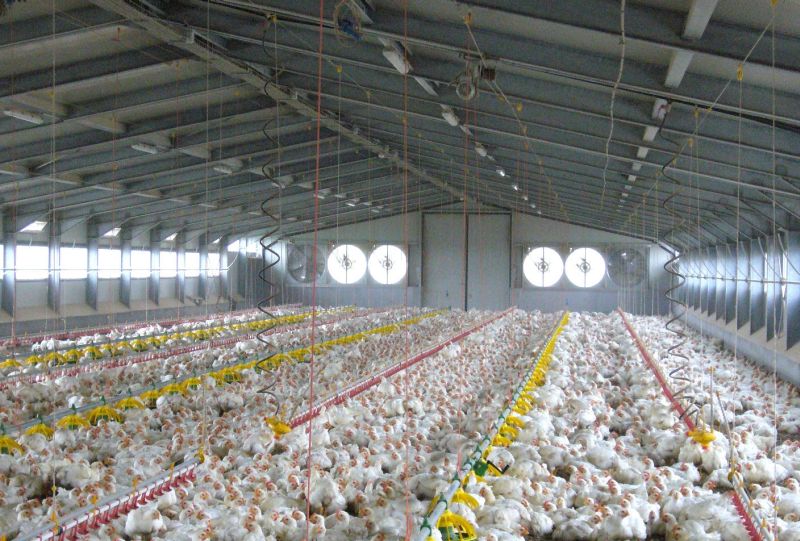 APIA Gorj eliberează adeverinţe de credit